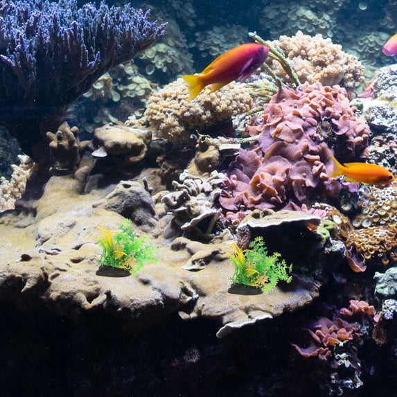 GETAJGHSD 6Pcs Artificial Aquatic Plants for Fish Tank Decoration Assorted Color Realistic Design