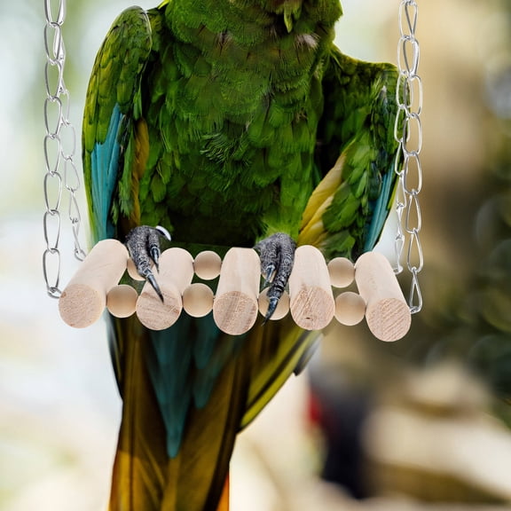 GETAJGHSD 8Pcs Large Bird Toy Wood Assorted Color Cage Ornament for Pet Birds