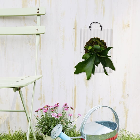 GETAJGHSD Clear Acrylic Wall Hanging Planter for Orchids and Indoor Vertical Garden Decor