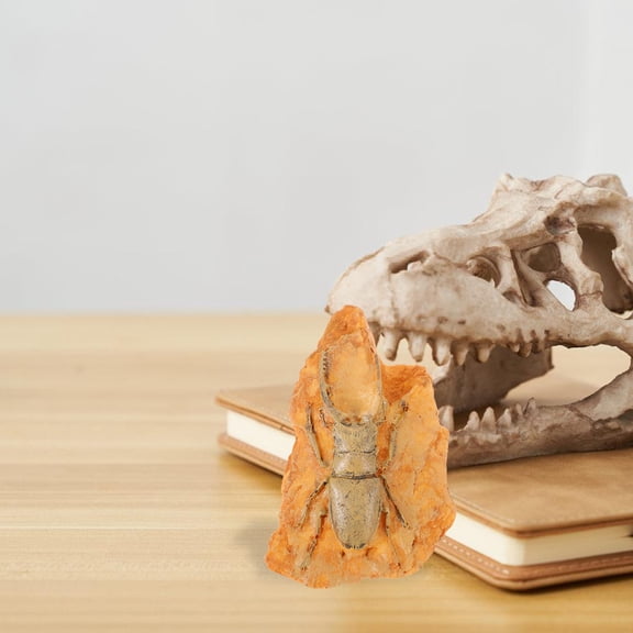 GETAJGHSD Insect for Teaching Insect Specimen Resin Orange 1Pcs