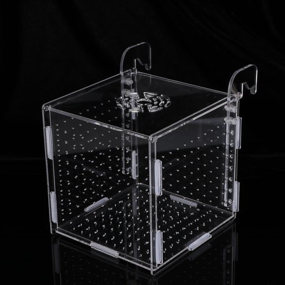 GETAJGHSD Transparent Acrylic Fish Tank Breeding Isolation Box for Fish Use Prevents Attacks Enhances Survival Rate 7.5 x 5.5 x 5.5 Inches