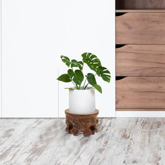 GETAJGHSD Elegant Wooden Base with Light Brown Chicken Wing Wood Finish for Home Decor Display Stand