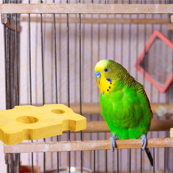 GETAJGHSD Yellow Bird Perch Stand Made from Solid Wood for Parrots to Exercise and Chew