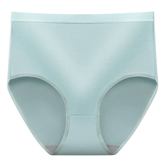 GEWSEY Seamless Brief for Women High Waist Tummy Contral Sexy Full Coverage Underwear (Light Blue, L)