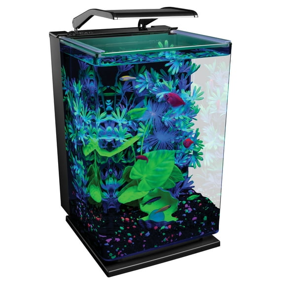 GloFish 5 Gallon Desktop Aquarium Kit with Filter and LED Light