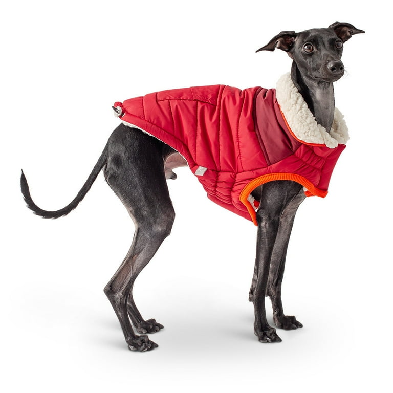 GF PET Scout Dog Jacket Winter Apparel Sport Style Elastofit Windproof Waterproof for Small Medium Large Dogs Pets Red XS Walmart