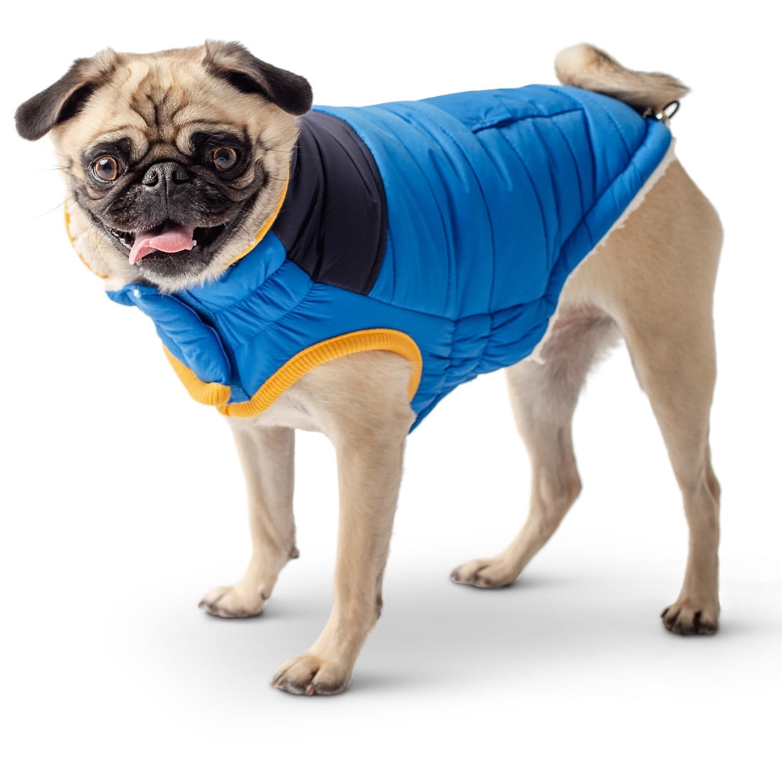 GF PET Scout Dog Jacket Winter Apparel Sport Style Elastofit Windproof Waterproof for Small Medium Large Dogs Pets, Royal, 2XS