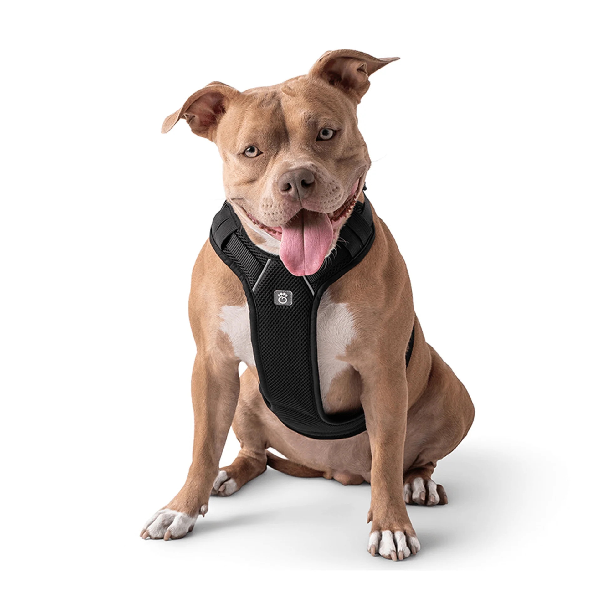 GF Pet GL155F7-BK-2XS Dog Travel Harness, Black - 2XS