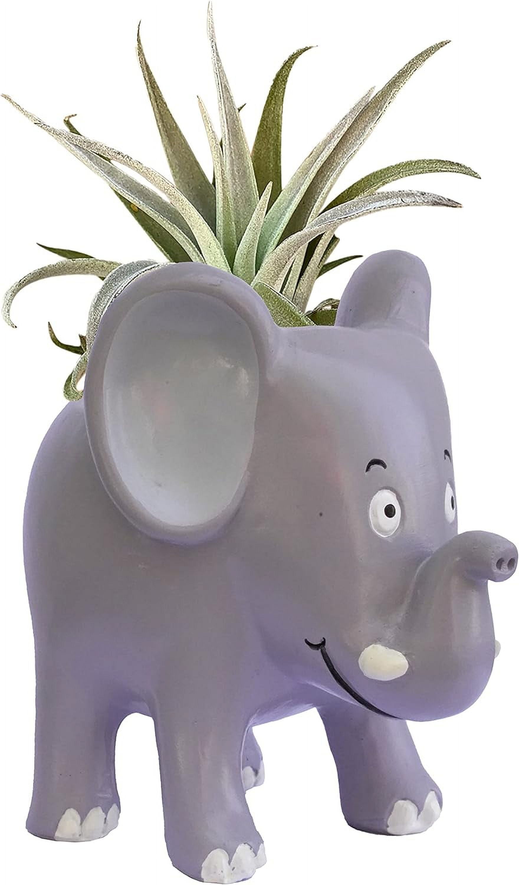 GFF Grass Flip Flops Animals (Elephant) Planters 5" H x 4" W x 3.5" D