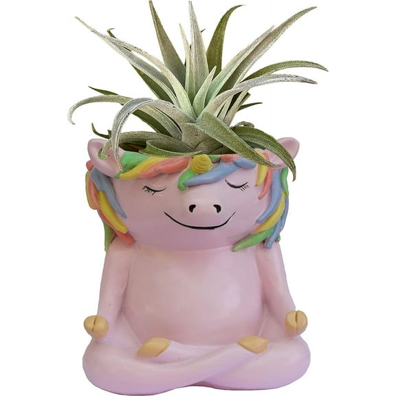 GFF Grass Flip Flops Meditating Animals (Unicorn) Planter - 4.1"H x 3.5"W x 3"D Inch Plant Pot for Succulents Flower Herb Houseplant - Indoor/Outdoor Live Plant Stand Garden Home Office Kitchen Decor
