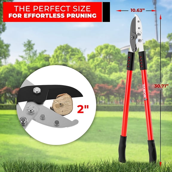 GG12A Anvil Lopper with Compound Action, 30 Inch Tree Trimmer, Thick Cutter with ⌀ 2 Inch Cutting Capacity, Chops Thick Branches with Ease.