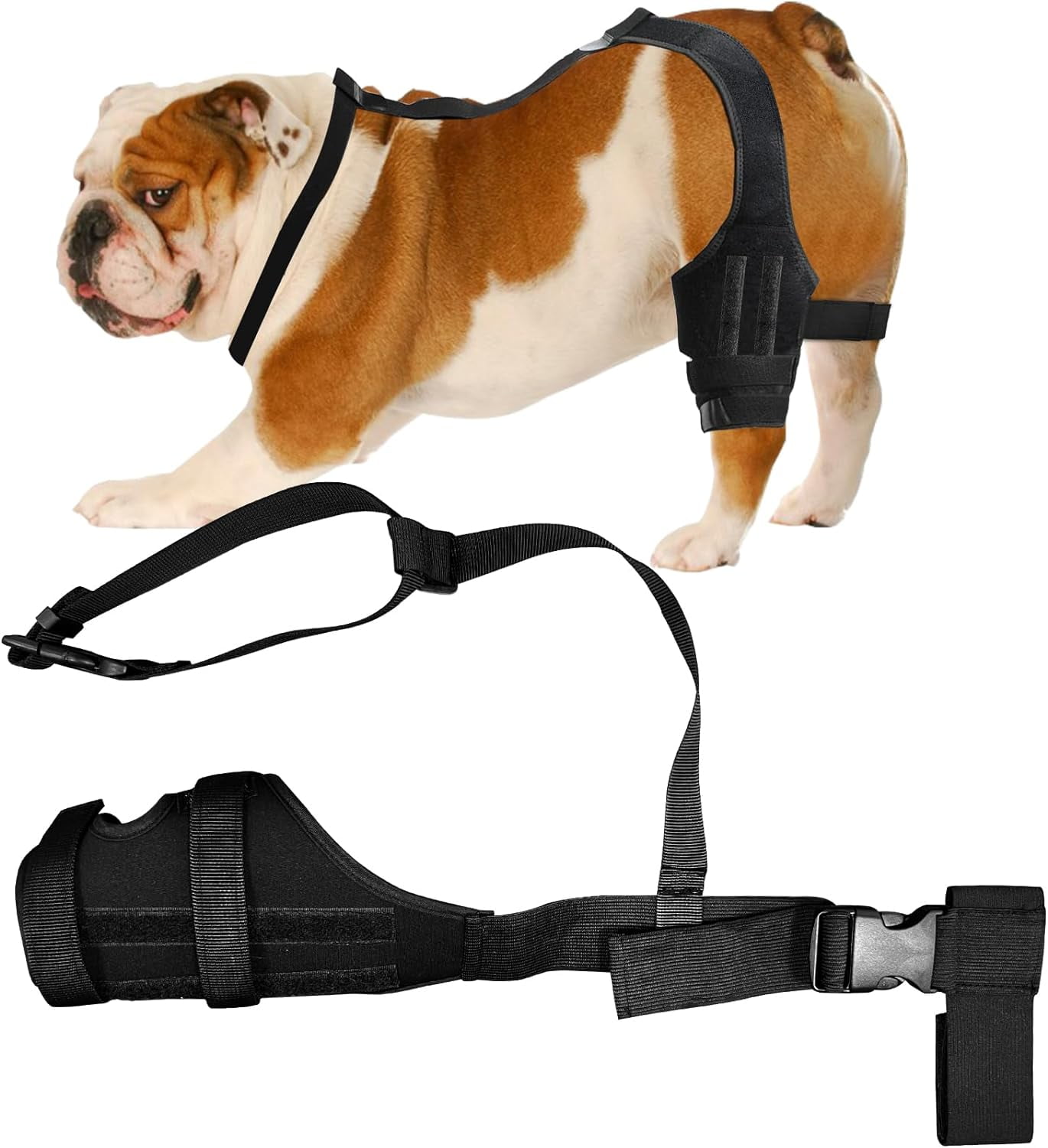 GGBPremium Dog Knee Brace for Torn ACL Hind Leg, Dog ACL Knee Brace