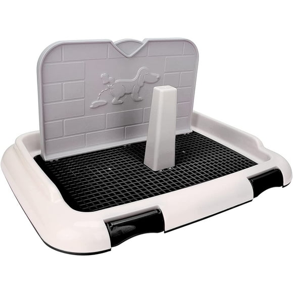 Potty Training Schedule Puppy