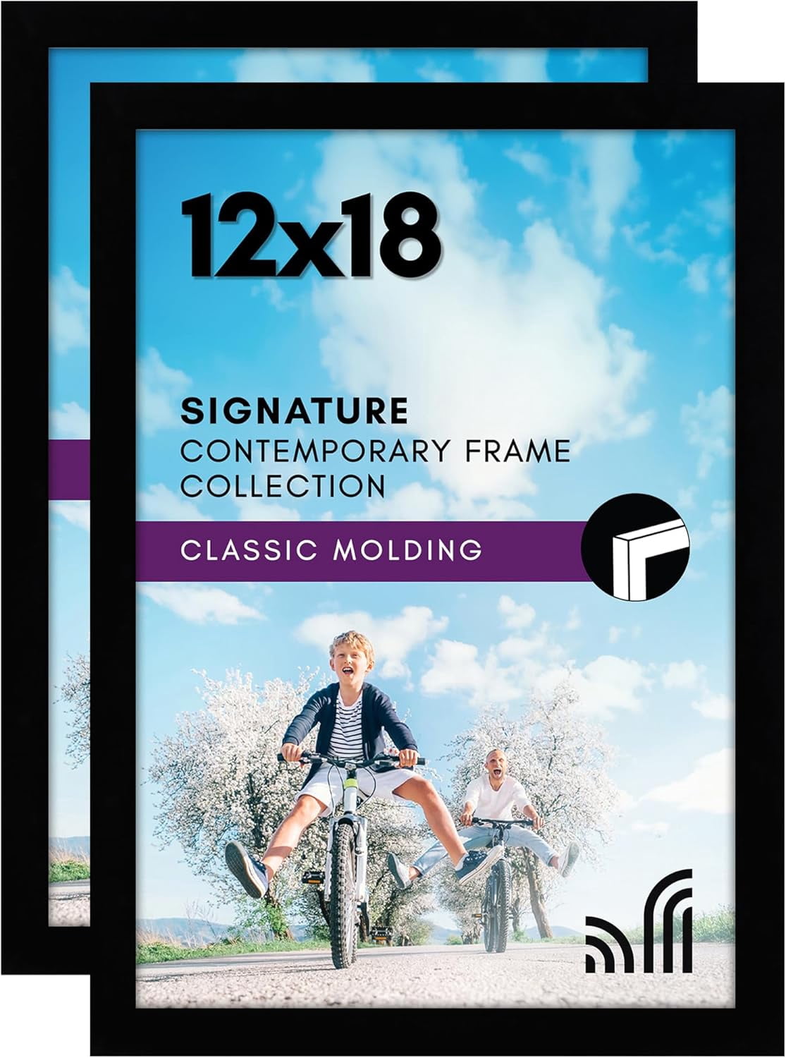 Ecd Frames GGSW 12x18 Poster Frame with Shatter-Resistant Glass - Set of 2 ...