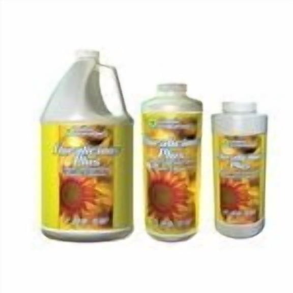 GH Floralicious Plus Pint