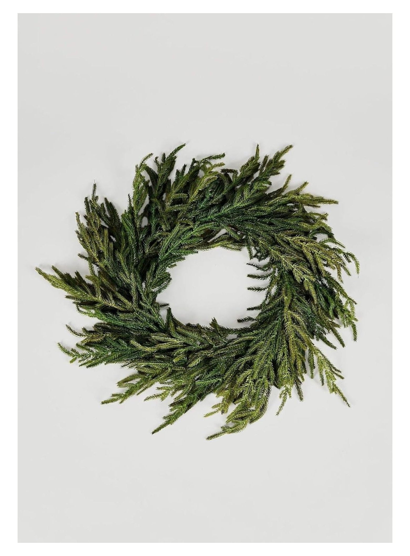 24" Green Artificial Norfolk Pine Christmas Wreath with Grapevine Base