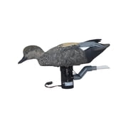 GHG Decoy Systems Finisher Swimmer Gadwall Drake Motion Decoy