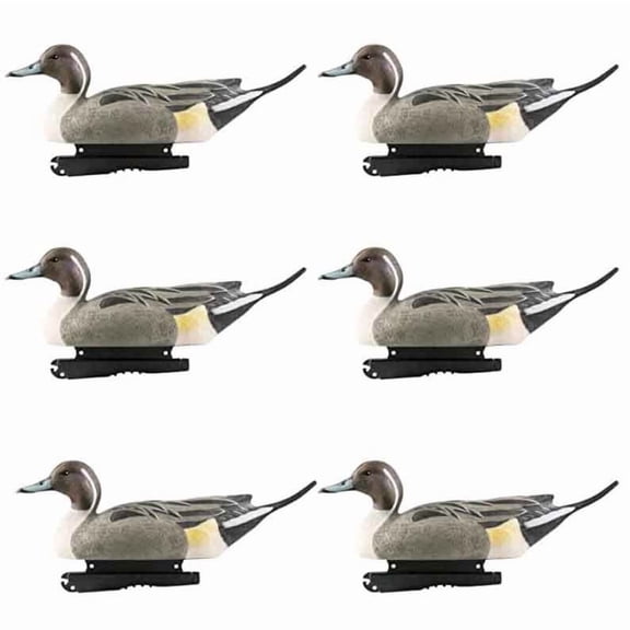 GHG Decoy Systems Hunter Series Life Size Drake Pintail Decoys, 6 Pack