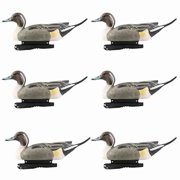 GHG Decoy Systems Hunter Series Life Size Drake Pintail Decoys, 6 Pack