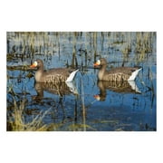 GHG Decoy Systems Pro-Grade Active Specklebelly Floating Goose Decoys, 4 Pack