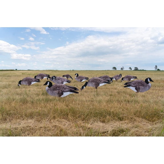 GHG Decoy Systems Pro-Grade Canada Goose Silhouette Decoys, Pack of 12 ...