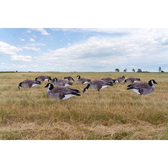 GHG Decoy Systems Pro-Grade Canada Goose Silhouette Decoys, Pack of 12