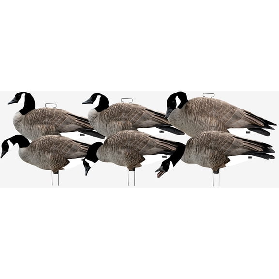 GHG Fully Flocked Silhouette Canada Goose Decoys
