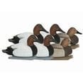 thumbnail image 1 of GHG Foam Filled Pro-Grade Canvasback Duck Decoy 6PK, 1 of 2