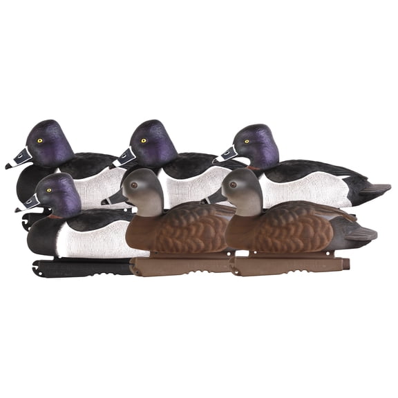 GHG Decoy Systems Pro-Grade Ring-Necked Duck Decoys, 6 Pack