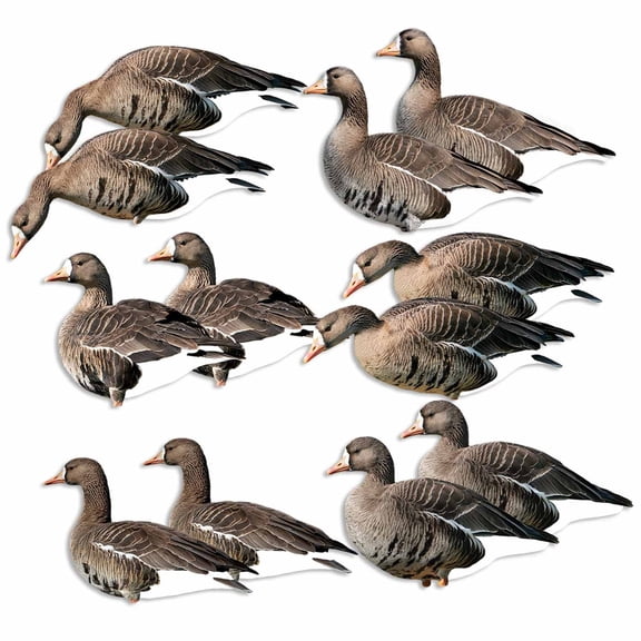 GHG Decoy Systems Pro Grade Silhouette Specklebelly Goose Decoys, 12 Pack