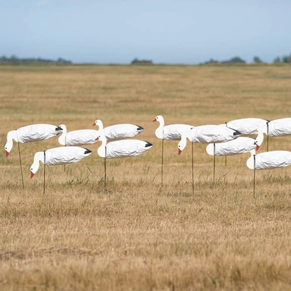GHG Decoy Systems Pro-Grade Snow Goose Sock Decoys Tall with Heads, 12 Pack