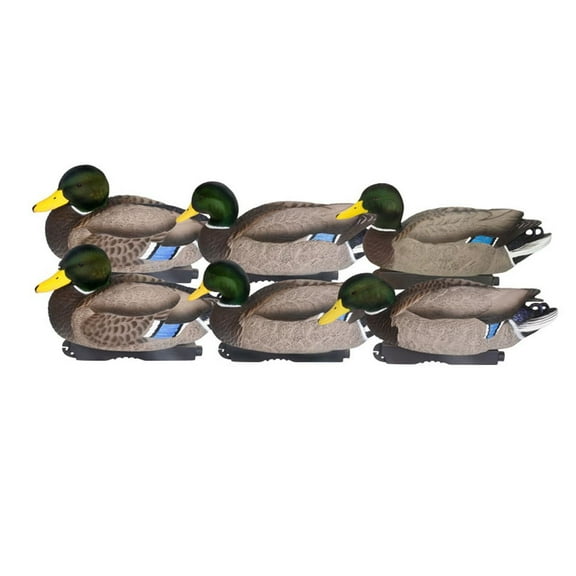 GHG Decoy Systems Pro-Grade XD Series Floating Mallard Duck Decoys with Flocked Heads - All Drake Pack