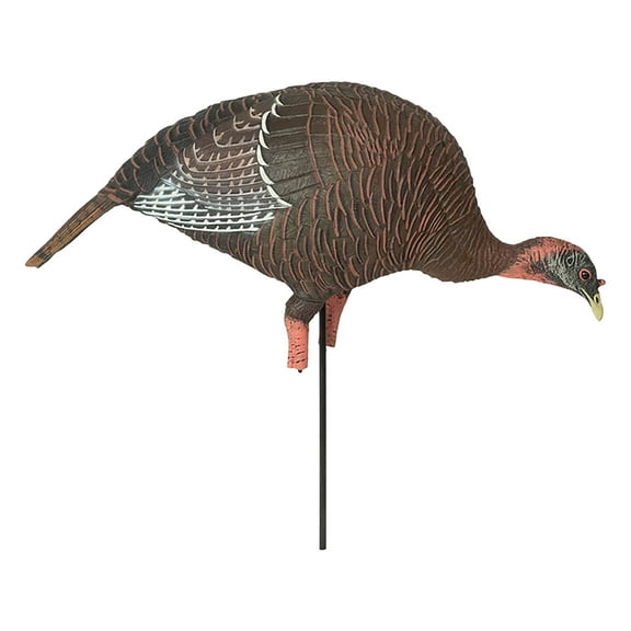 GHG Feeding Hen Turkey Decoy