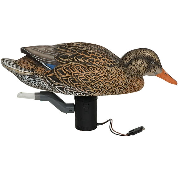 GHG Finisher Swimmer Mallard Hen Duck Decoy