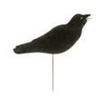 thumbnail image 1 of GHG Fully Flocked Elite Aggressive Caller Crow Decoy, 1 of 4