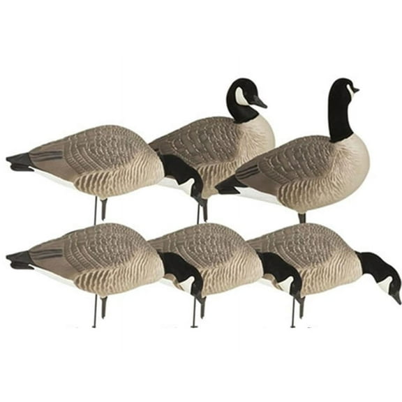 GHG Hunter Series Harvester Lesser Full Body Canada Goose Decoy 6PK