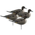thumbnail image 1 of GHG Decoy Systems Hunter Series Over-Sized Full-Body Pintail Decoys, 4 Pack, 1 of 2