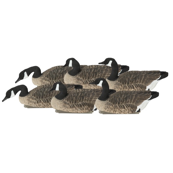 GHG Pro Grade XD Canada Floaters Harvester Decoys 6 Pack