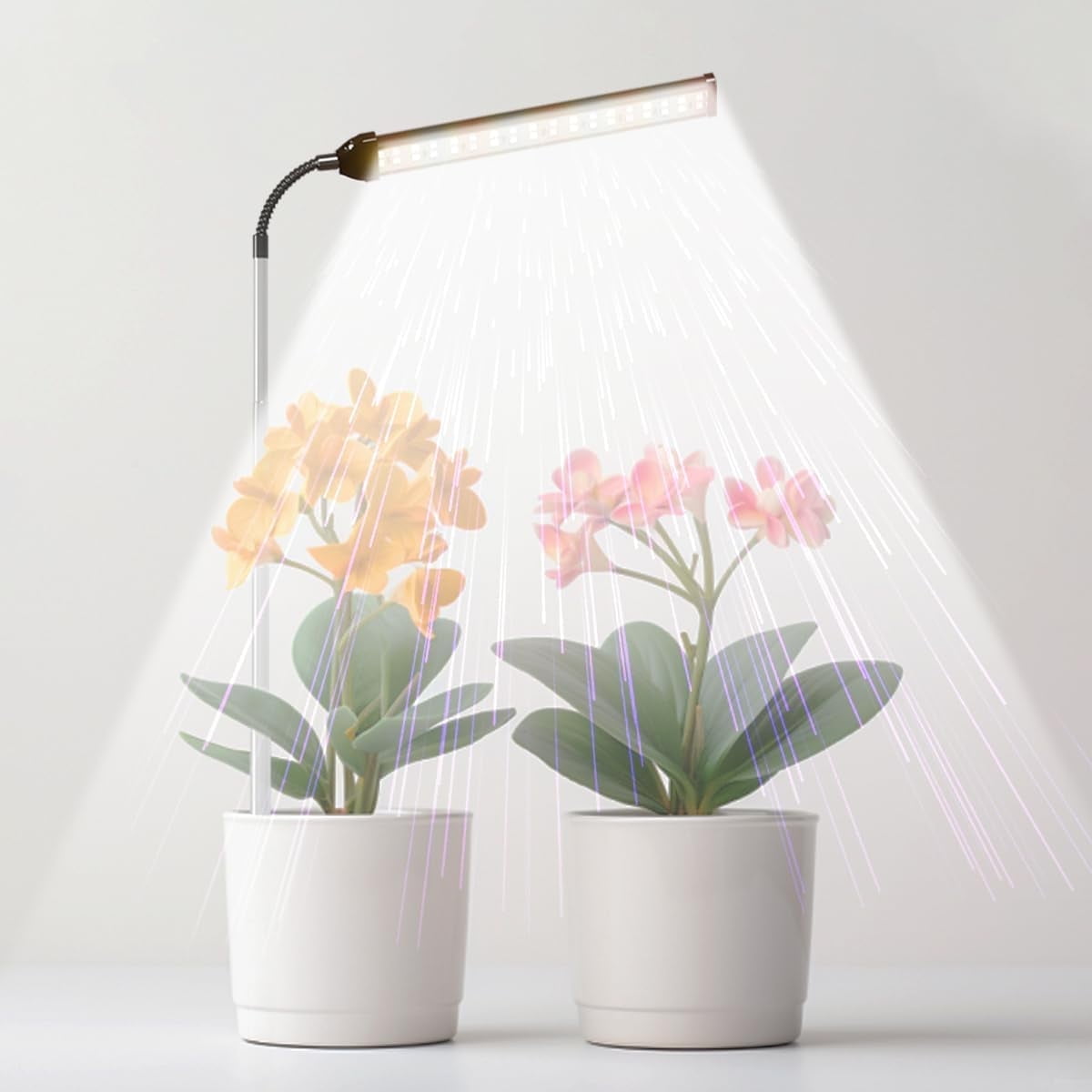 GHODEC LED Grow Light, 6000K White Full Spectrum 144 LED Gooseneck Growing Lamp for Indoor Plants Growth,4 8 12 18Hrs Timer & Brightness Changeable,Insert Pole Extendable 4-10''
