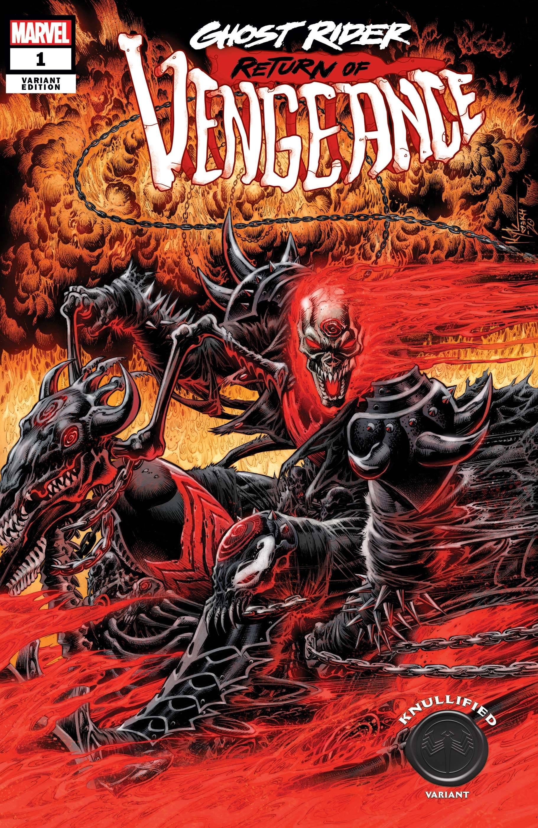 GHOST RIDER RETURN OF VENGEANCE #1 HOTZ KNULLIFIED VAR - Walmart.com