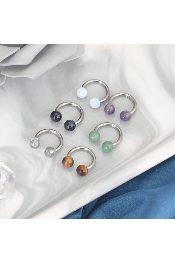 GHRTGR-10Pcs Paint Steel Septum Rings Piercing Jewelry Cartilage Helix Daith Tragus Earring Hoop Lip Nose Hinged Seamless Nose Hoop Ring for Women Men