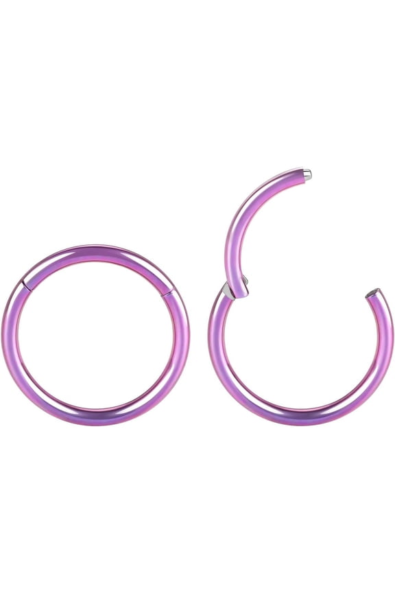 GHRTGR-2 Pcs Nose Rings 20G 18G 16G 14G 12G 10G 8G Surgical Steel Piercing Rings for Nose Septum Cartilage Helix Tragus Conch Rook Daith Lobe from 5mm to 16mm Seamless Hoop Unisex Hinged Earrings