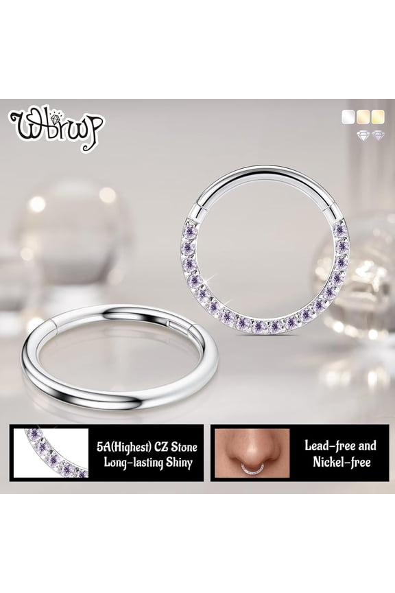 GHRTGR-20G 18G 16G 14G Septum Rings Hoop: 2Pcs 316L Surgical Steel 8MM 10MM Cartilage Earring Hypoallergenic Hinged Nose Hoops Daith Conch Helix Tragus Piercing Jewelry