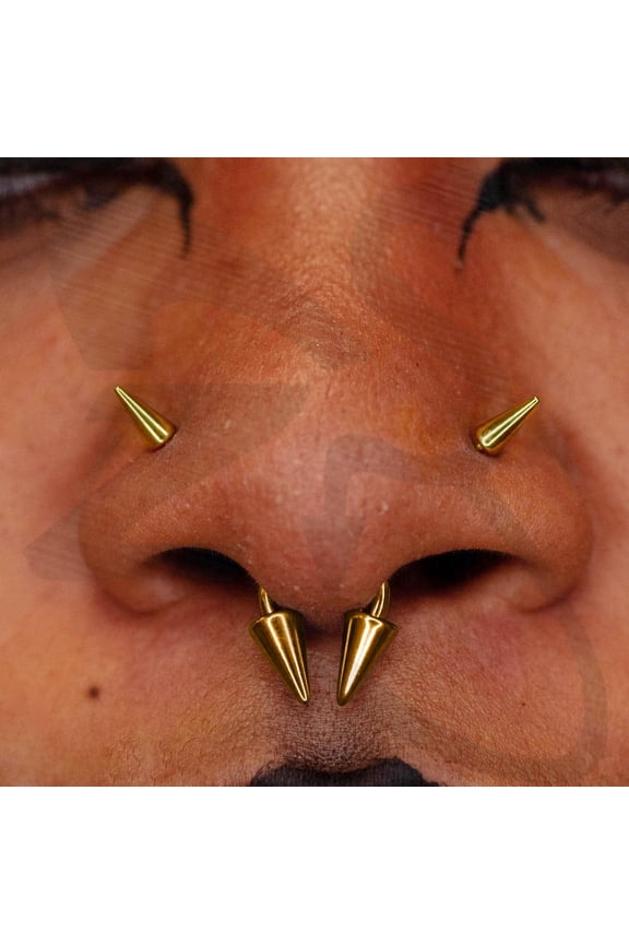 GHRTGR-20G Spike Nose Rings Studs, 18G Stainless Steel Spike Stud Earrings, 16G Septum Lip Rings Cartilage Tragus Helix Piercing for Women Men
