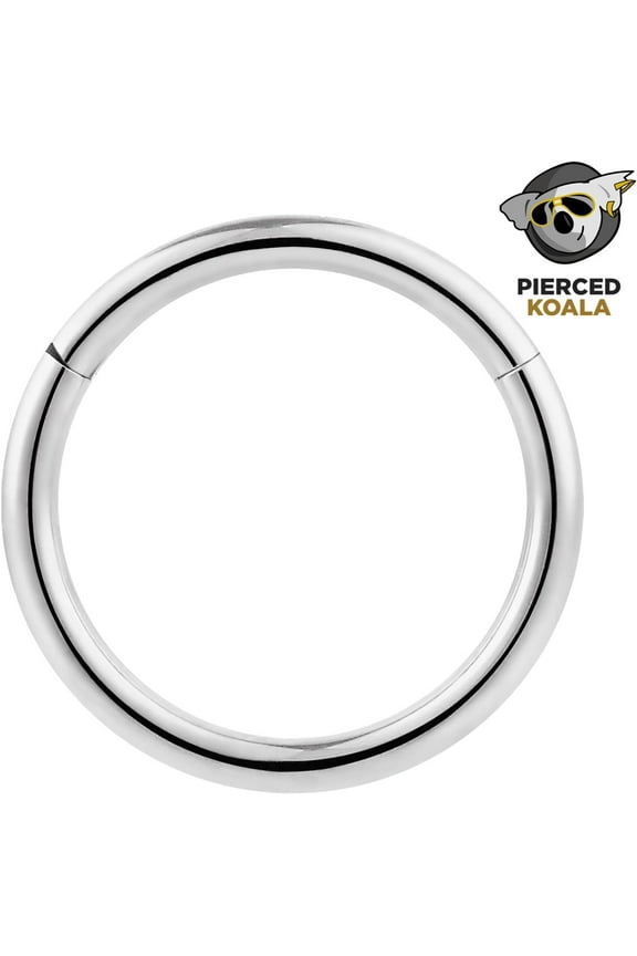 GHRTGR-2PCS Titanium Nose Rings 20G 18G 16G 14G 12G 10G 8G 6G Septum jewellery Hinged Segment Ring Body Piercing Nose Hoop Lip Clicker Tragus Daith Eyebrow Ring Helix Cartilage Rook Earrings