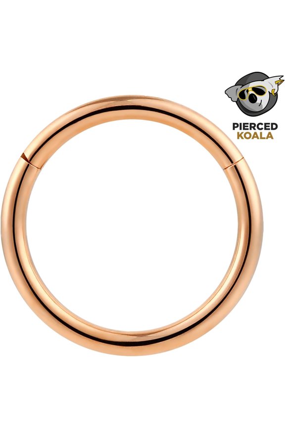 GHRTGR-2PCS Titanium Nose Rings 20G 18G 16G 14G 12G 10G 8G 6G Septum jewellery Hinged Segment Ring Body Piercing Nose Hoop Lip Clicker Tragus Daith Eyebrow Ring Helix Cartilage Rook Earrings