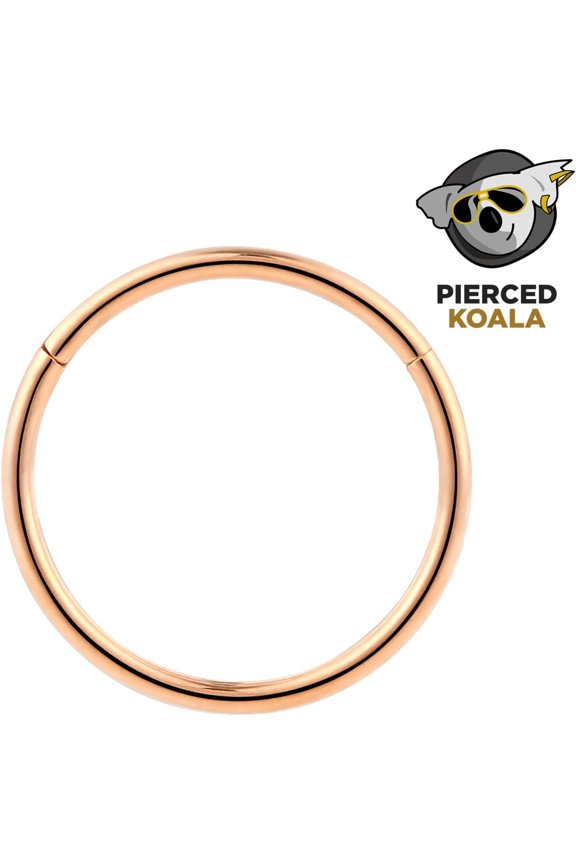 GHRTGR-2PCS Titanium Nose Rings 20G 18G 16G 14G 12G 10G 8G 6G Septum jewellery Hinged Segment Ring Body Piercing Nose Hoop Lip Clicker Tragus Daith Eyebrow Ring Helix Cartilage Rook Earrings