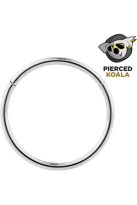 GHRTGR-2PCS Titanium Nose Rings 20G 18G 16G 14G 12G 10G 8G 6G Septum jewellery Hinged Segment Ring Body Piercing Nose Hoop Lip Clicker Tragus Daith Eyebrow Ring Helix Cartilage Rook Earrings