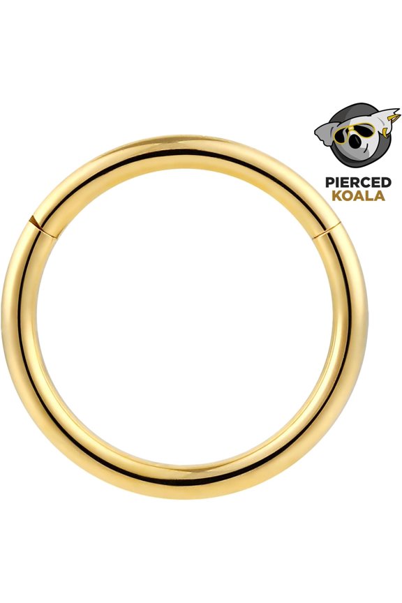 GHRTGR-2PCS Titanium Nose Rings 20G 18G 16G 14G 12G 10G 8G 6G Septum jewellery Hinged Segment Ring Body Piercing Nose Hoop Lip Clicker Tragus Daith Eyebrow Ring Helix Cartilage Rook Earrings