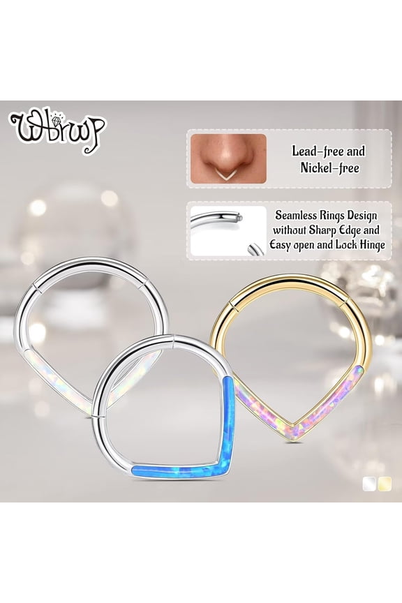 GHRTGR-316L Stainless-Steel Piercing-Ring Hinged Nose-Rings-Hoop with Zircon/Opal 14G 16G 18G 20g Body Pierecing Ring Segment Clicker Lip Rings Cartilage Rook Earrings Diameter 8mm 10mm